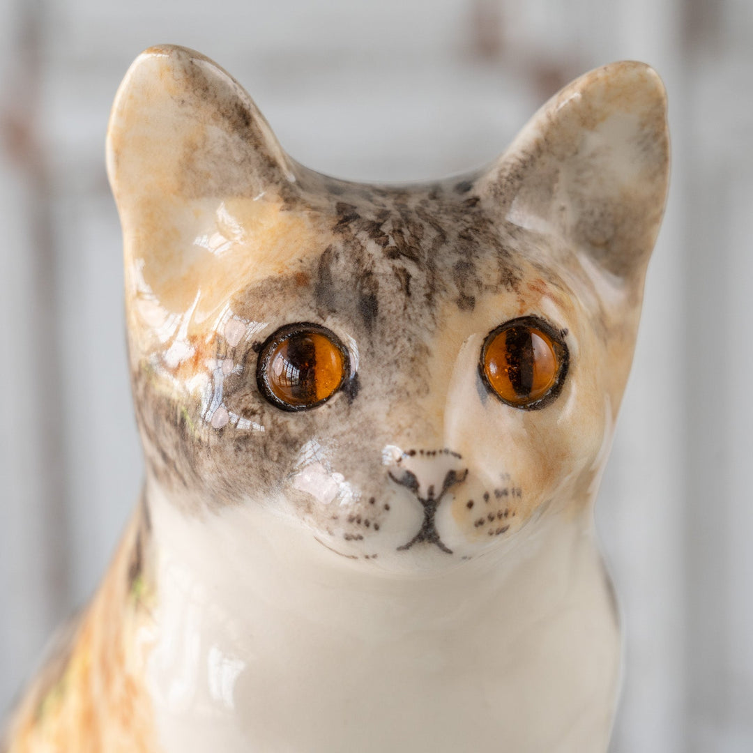 【Winstanley Cat ウィンスタンレイ キャット】◇くりくりとした丸い瞳がチャーミング Calico キャリコ /25F