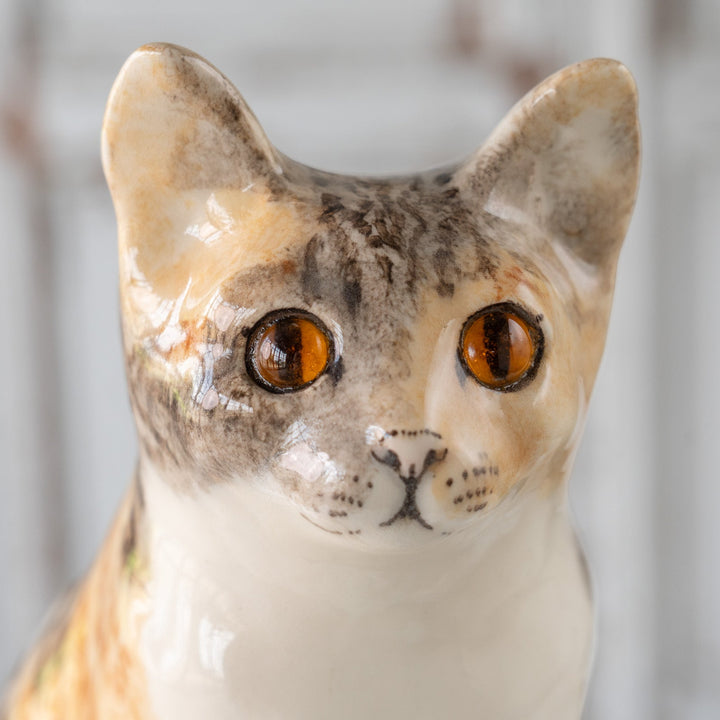 【Winstanley Cat ウィンスタンレイ キャット】◇くりくりとした丸い瞳がチャーミング Calico キャリコ /25F