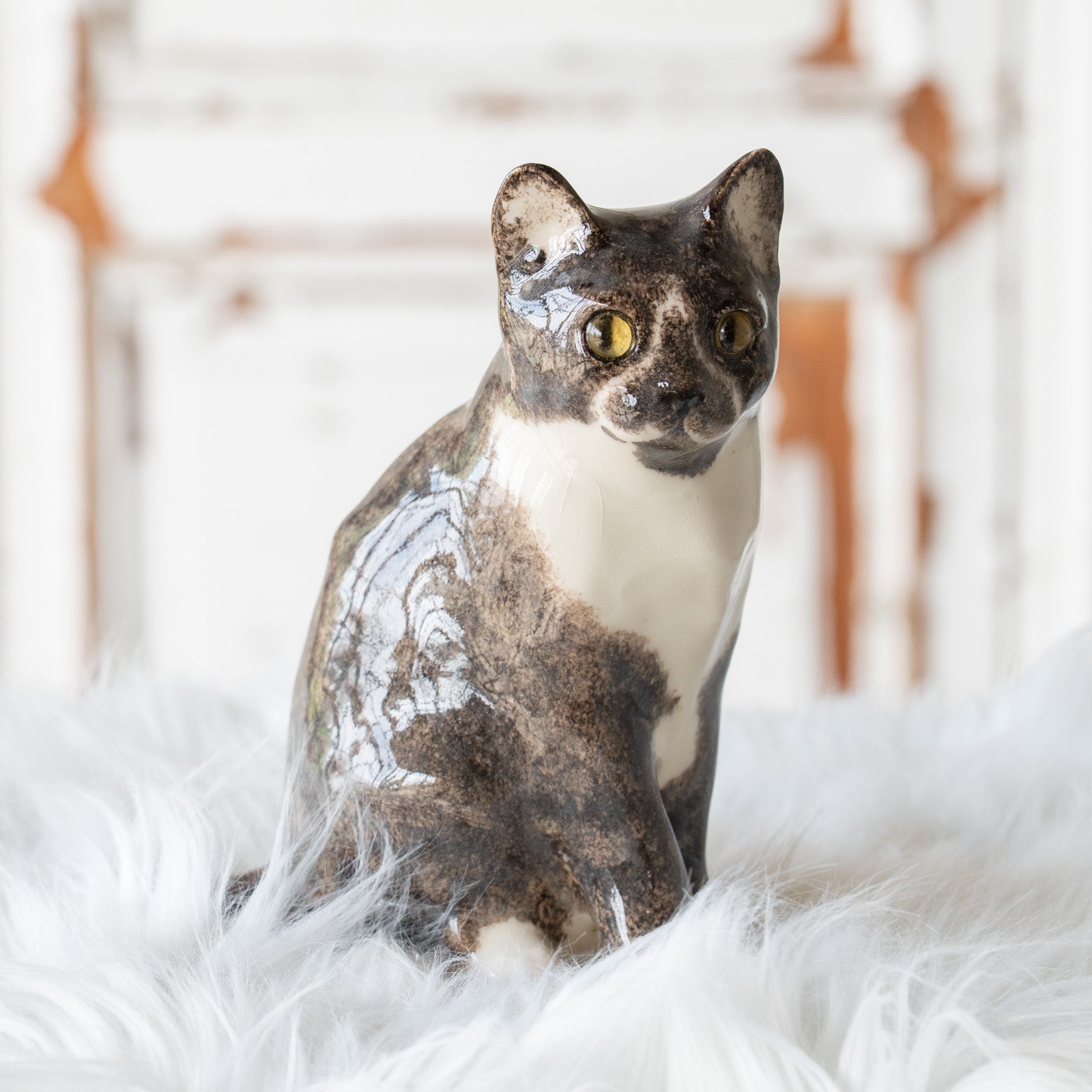 Winstanley Cat ウィンスタンレイ キャット】鼻先を囲む模様がユニーク