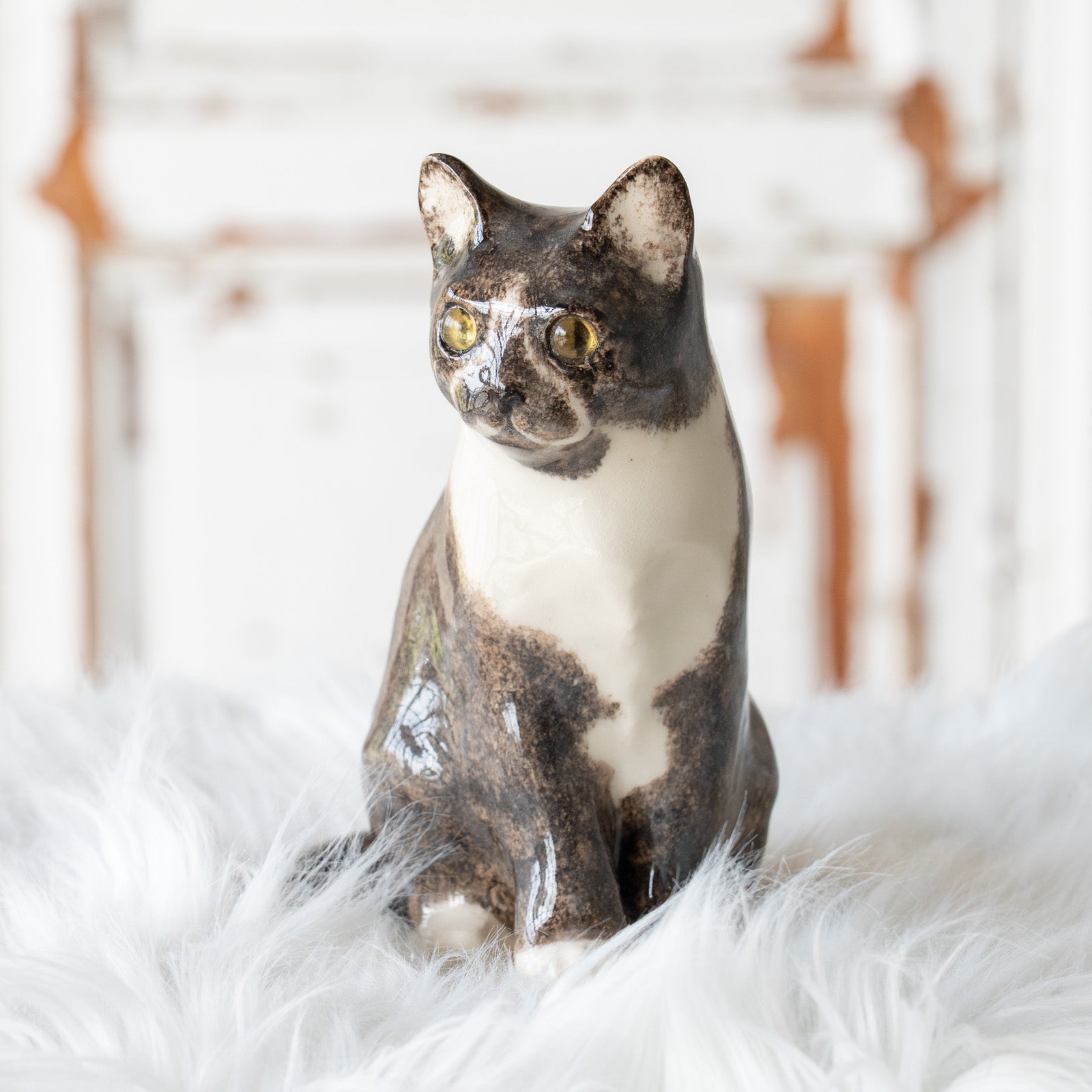 Winstanley Cat ウィンスタンレイ キャット】鼻先を囲む模様がユニーク