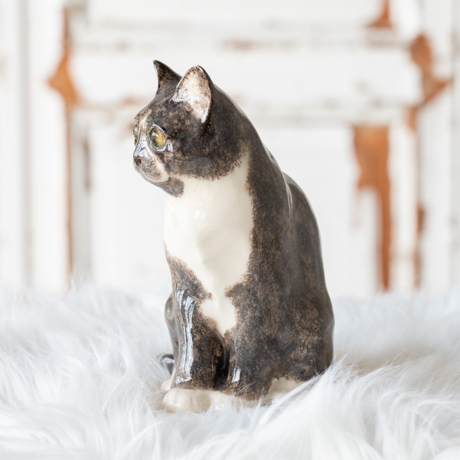 希少★WINSTANLEY CAT ウィンスタンレイキャット スノーウィー Winstanley Cat ウィンスタンレイ キャット】鼻先を囲む模様がユニーク