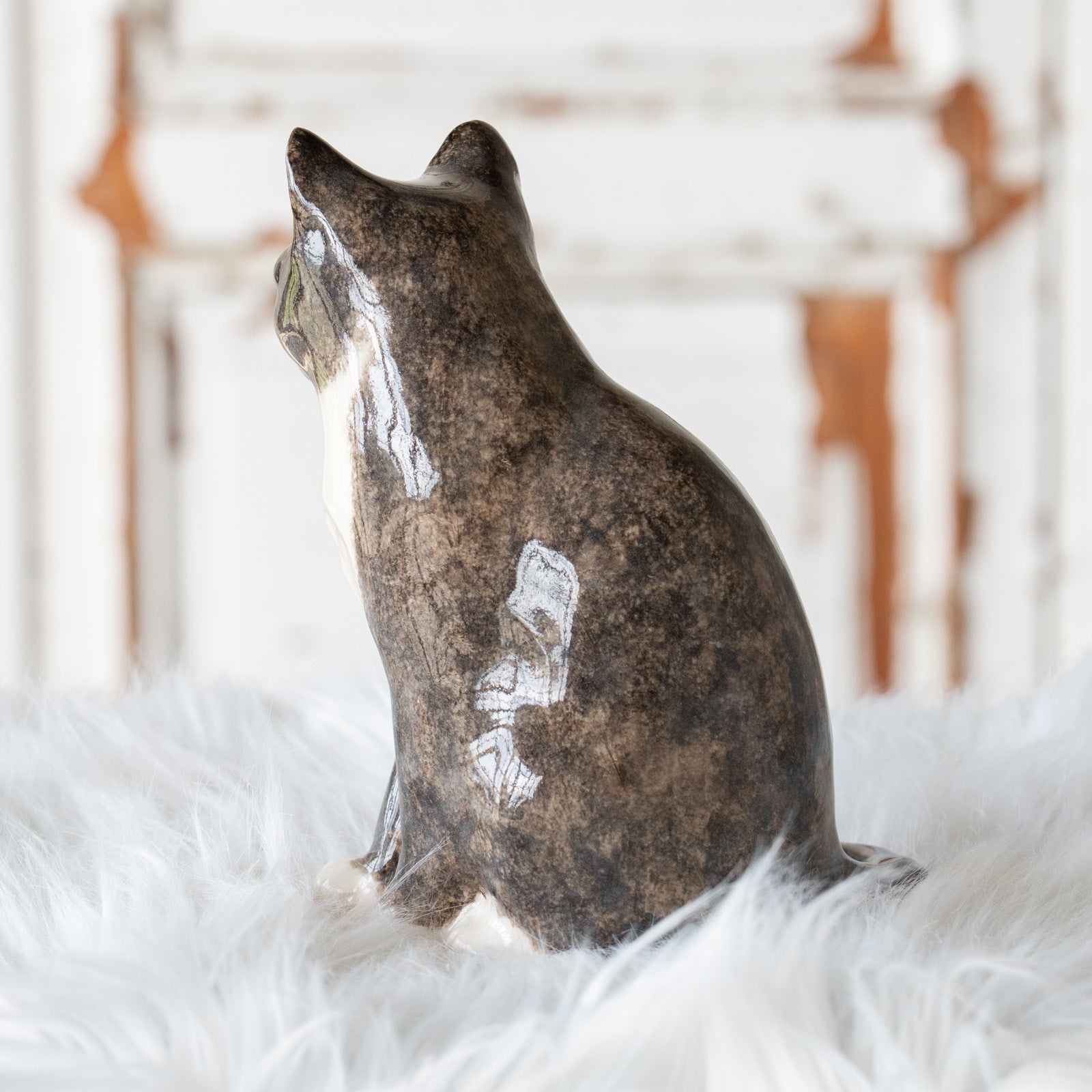 Winstanley Cat ウィンスタンレイ キャット】鼻先を囲む模様がユニーク