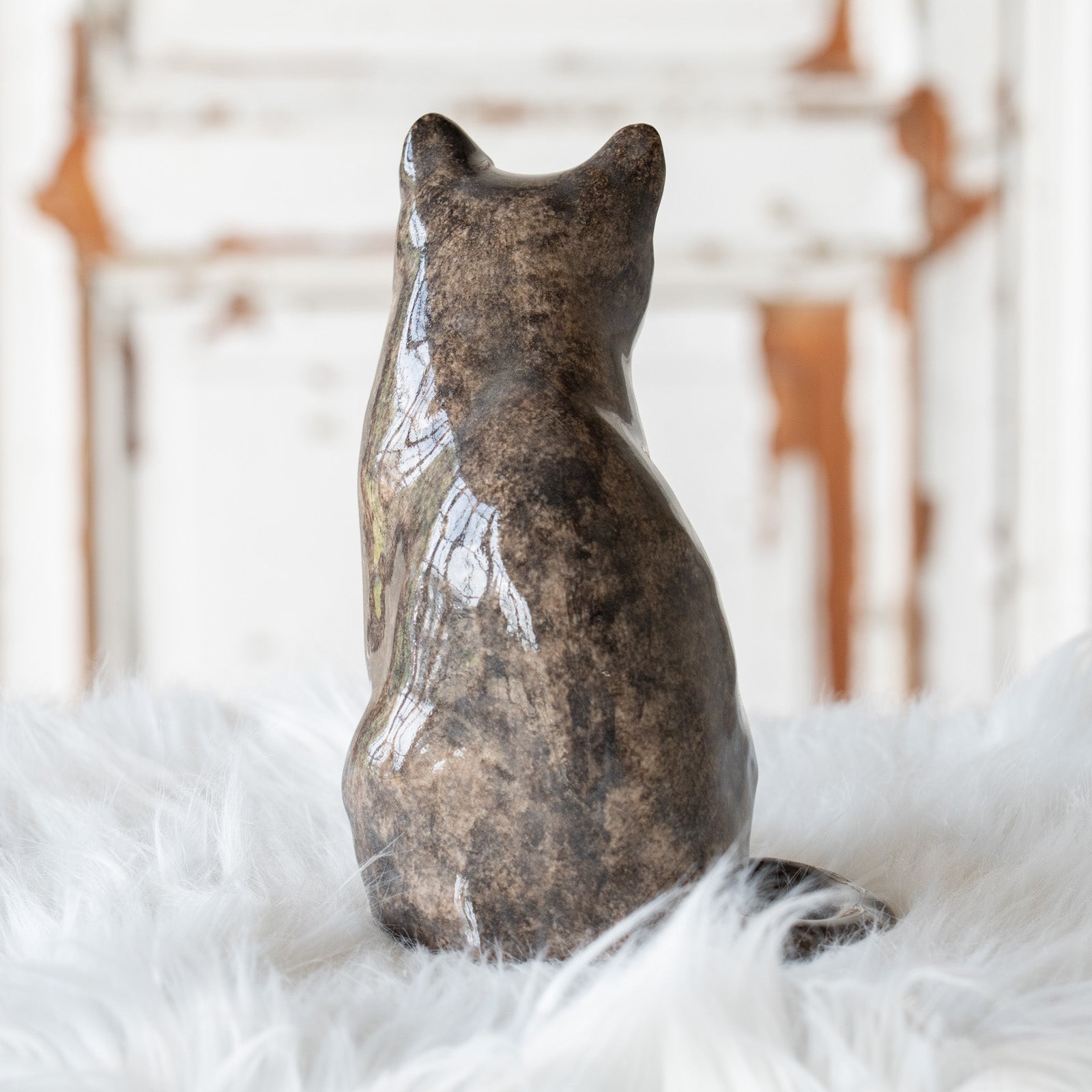 Winstanley Cat ウィンスタンレイ キャット】鼻先を囲む模様がユニーク