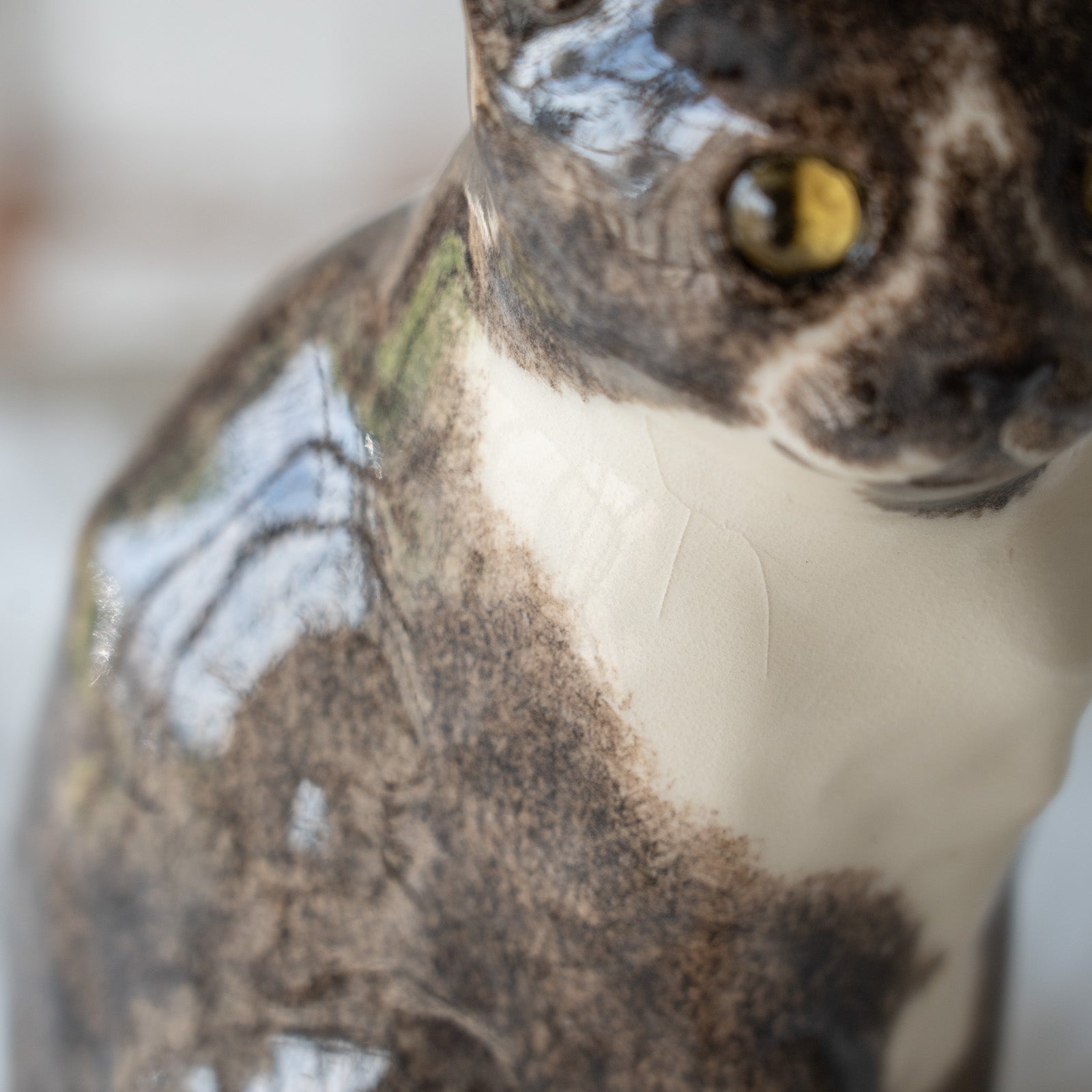 Winstanley Cat ウィンスタンレイ キャット】鼻先を囲む模様がユニーク