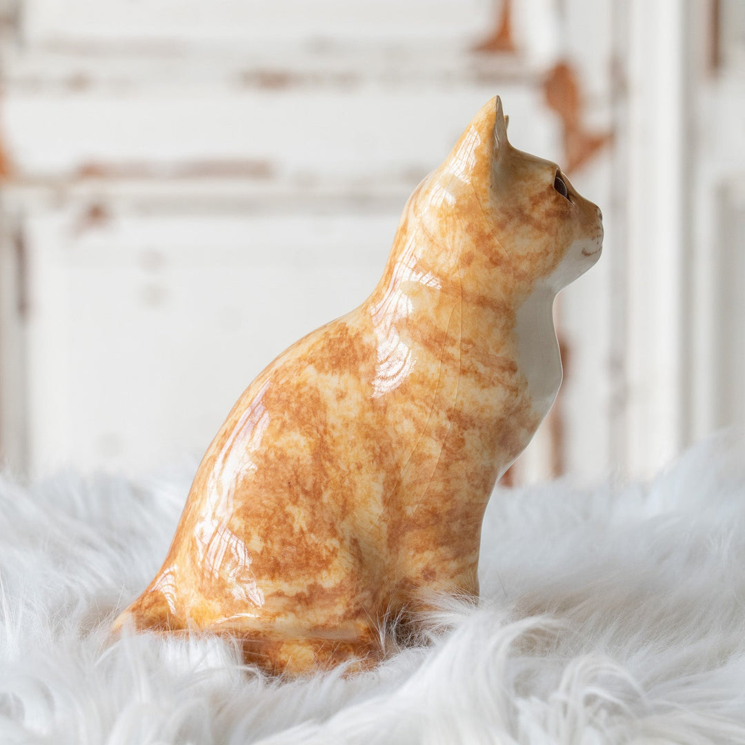 【Winstanley Cat ウィンスタンレイ キャット】◇微笑む様な表情にときめく Ginger ジンジャー /25F