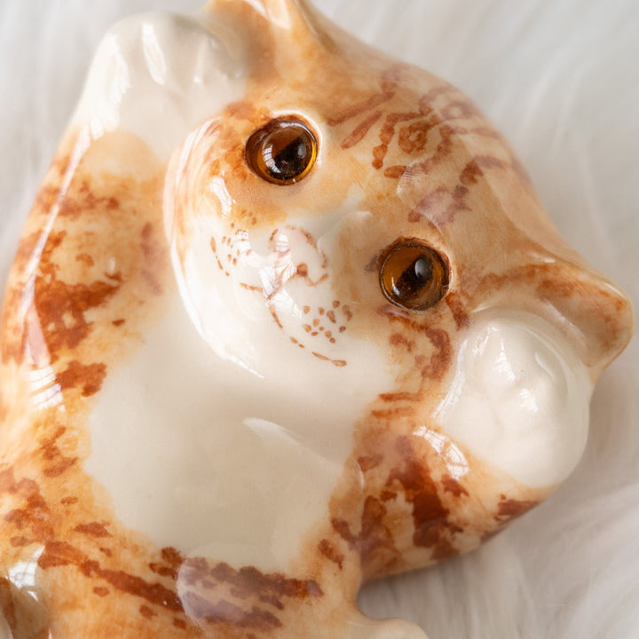 【Winstanley Cat ウィンスタンレイ キャット】◇ゴロンとしてお腹を見せて甘えてくる姿がキュート Ginger ジンジャー /25F