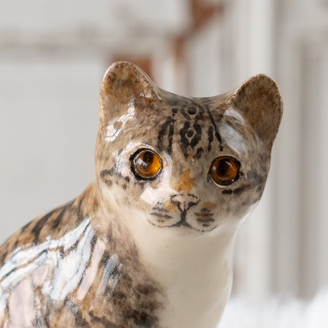 【Winstanley Cat ウィンスタンレイ キャット】◇きりっとした瞳でこちらを見つめる Silver tabby シルバータビー /25F