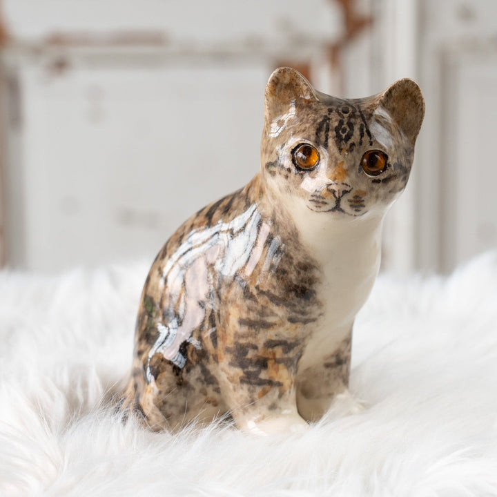 【Winstanley Cat ウィンスタンレイ キャット】◇きりっとした瞳でこちらを見つめる Silver tabby シルバータビー /25F