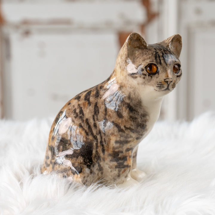 【Winstanley Cat ウィンスタンレイ キャット】◇きりっとした瞳でこちらを見つめる Silver tabby シルバータビー /25F
