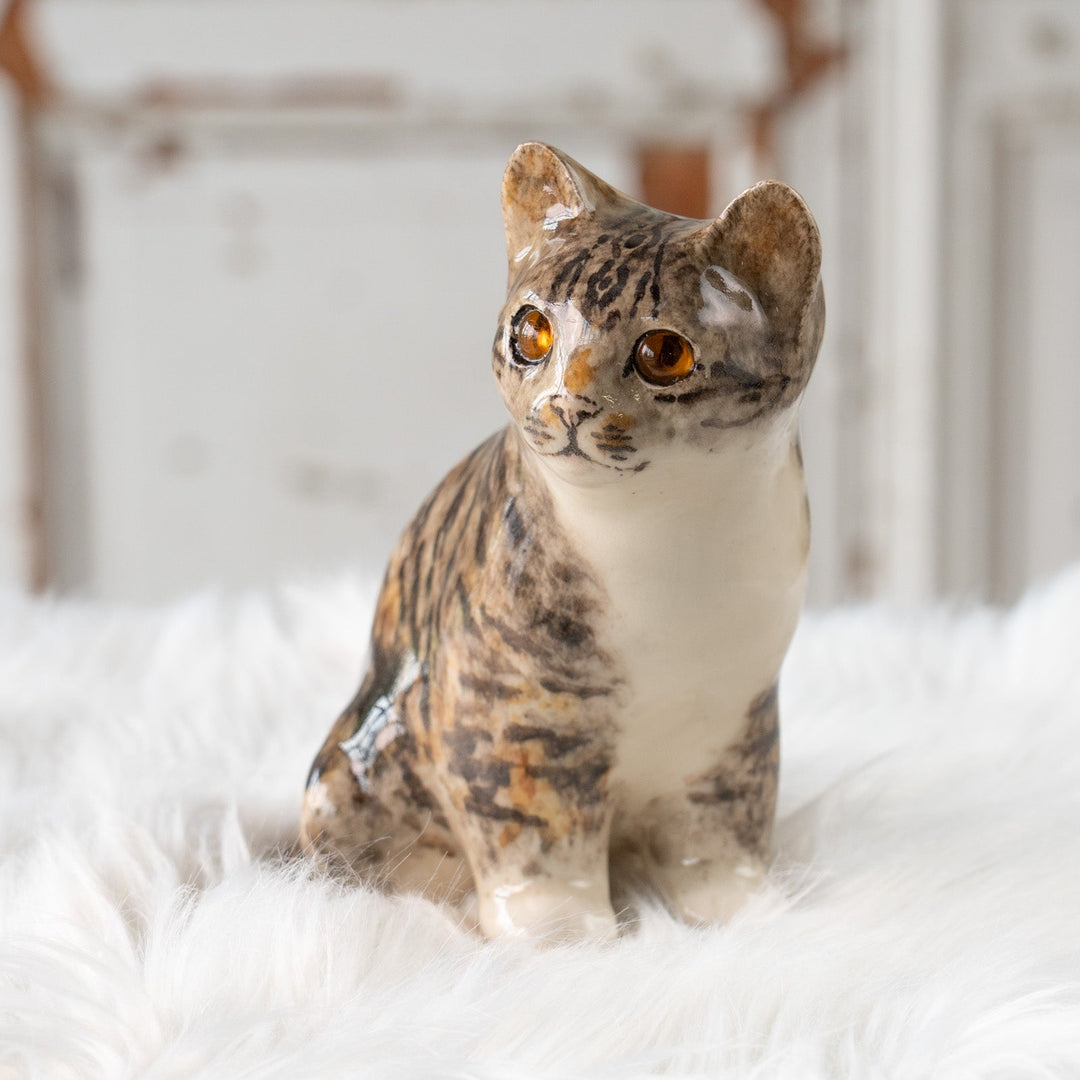 【Winstanley Cat ウィンスタンレイ キャット】◇きりっとした瞳でこちらを見つめる Silver tabby シルバータビー /25F