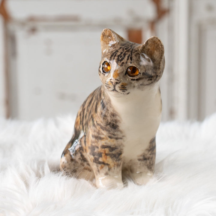 【Winstanley Cat ウィンスタンレイ キャット】◇きりっとした瞳でこちらを見つめる Silver tabby シルバータビー /25F