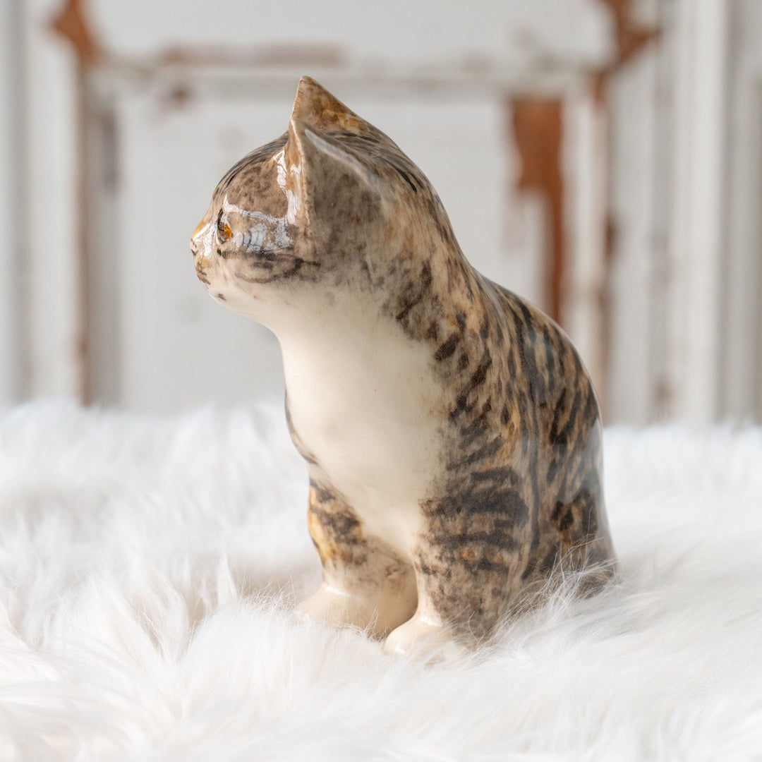 【Winstanley Cat ウィンスタンレイ キャット】◇きりっとした瞳でこちらを見つめる Silver tabby シルバータビー /25F