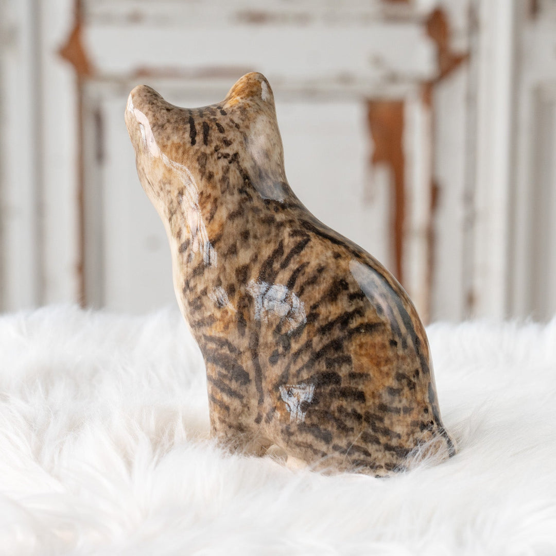 【Winstanley Cat ウィンスタンレイ キャット】◇きりっとした瞳でこちらを見つめる Silver tabby シルバータビー /25F