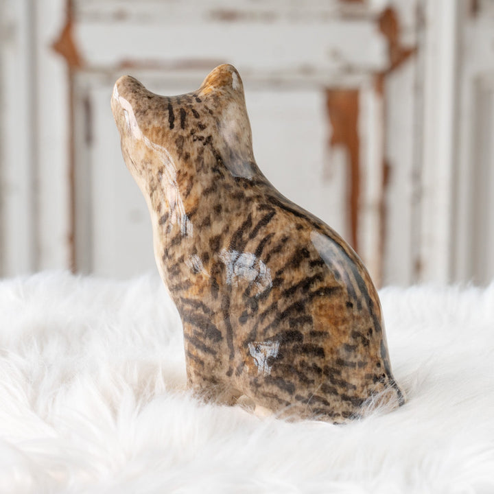 【Winstanley Cat ウィンスタンレイ キャット】◇きりっとした瞳でこちらを見つめる Silver tabby シルバータビー /25F