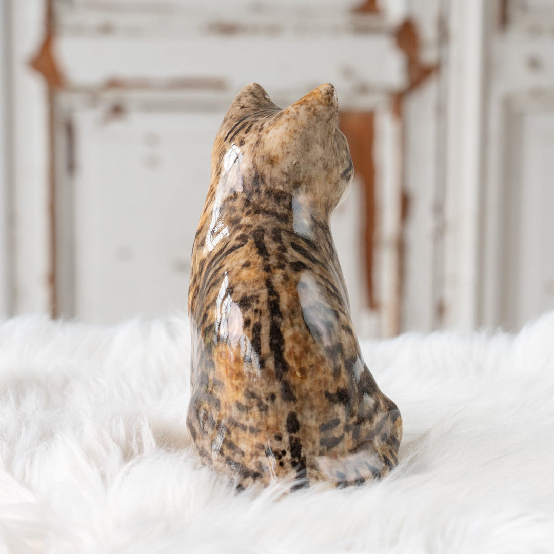 【Winstanley Cat ウィンスタンレイ キャット】◇きりっとした瞳でこちらを見つめる Silver tabby シルバータビー /25F
