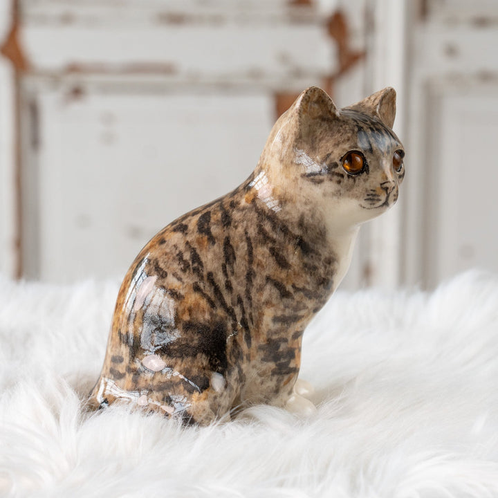 【Winstanley Cat ウィンスタンレイ キャット】◇きりっとした瞳でこちらを見つめる Silver tabby シルバータビー /25F