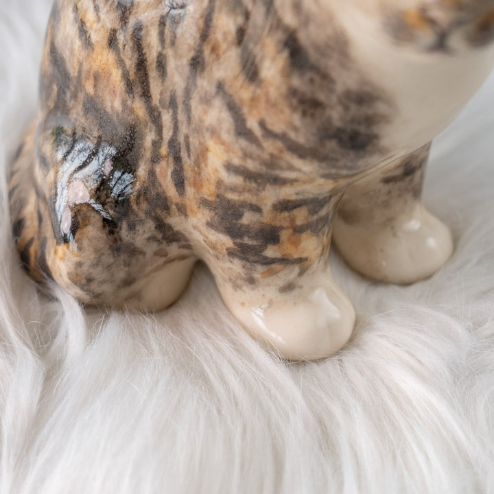【Winstanley Cat ウィンスタンレイ キャット】◇きりっとした瞳でこちらを見つめる Silver tabby シルバータビー /25F