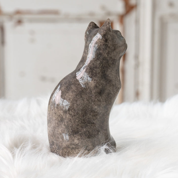 【Winstanley Cat ウィンスタンレイ キャット】◇小首をかしげた不思議そうな表情が魅力 Solid grey グレー /25F