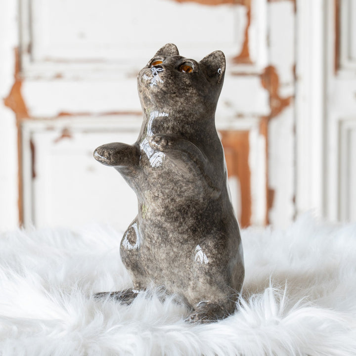 【Winstanley Cat ウィンスタンレイ キャット】◇キラキラした表情で二本足で立つ Solid grey グレー /25F