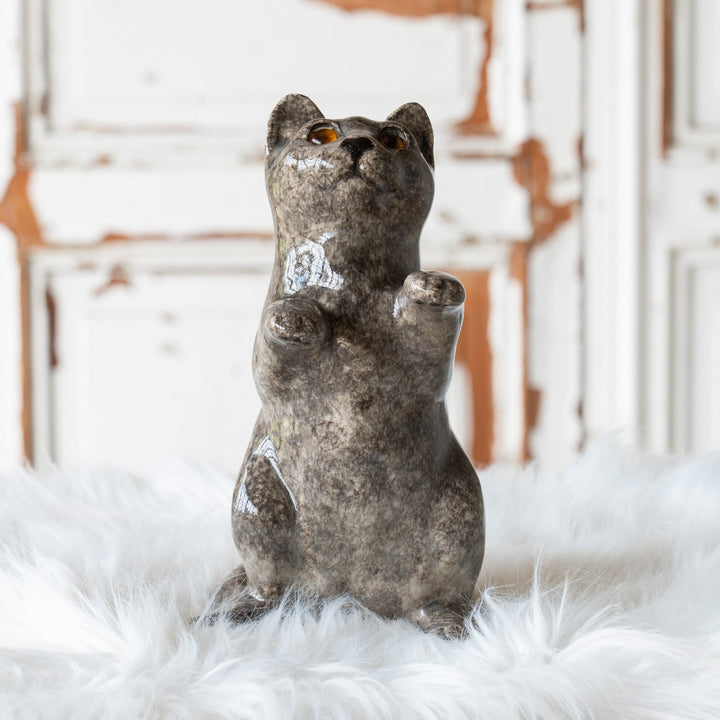 【Winstanley Cat ウィンスタンレイ キャット】◇キラキラした表情で二本足で立つ Solid grey グレー /25F