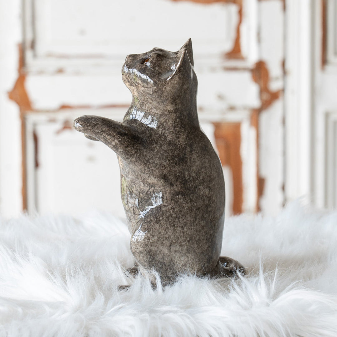 【Winstanley Cat ウィンスタンレイ キャット】◇キラキラした表情で二本足で立つ Solid grey グレー /25F