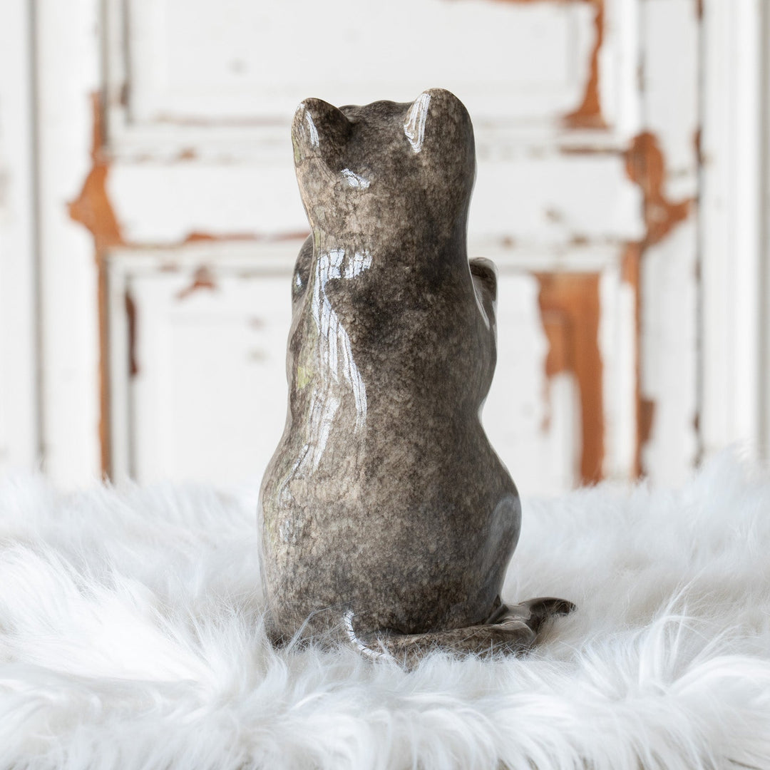 【Winstanley Cat ウィンスタンレイ キャット】◇キラキラした表情で二本足で立つ Solid grey グレー /25F
