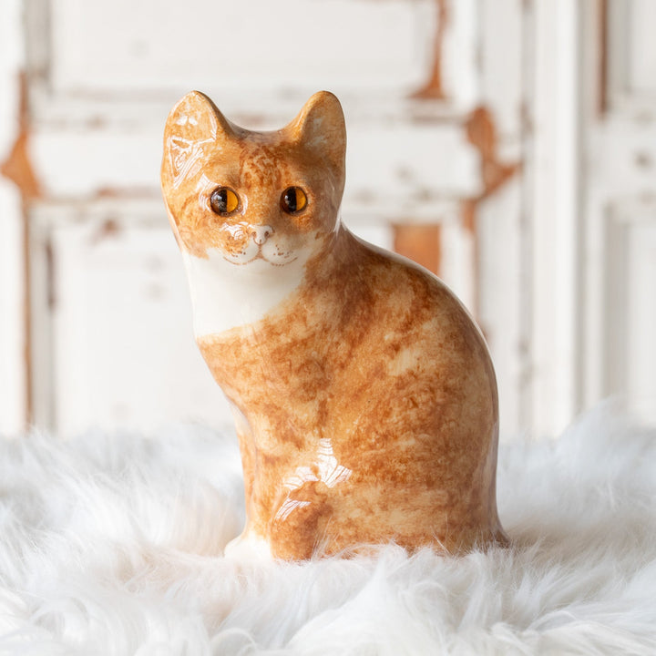 【Winstanley Cat ウィンスタンレイ キャット】◇座ってこちらを見つめる表情が愛らしい Ginger ジンジャー /25F