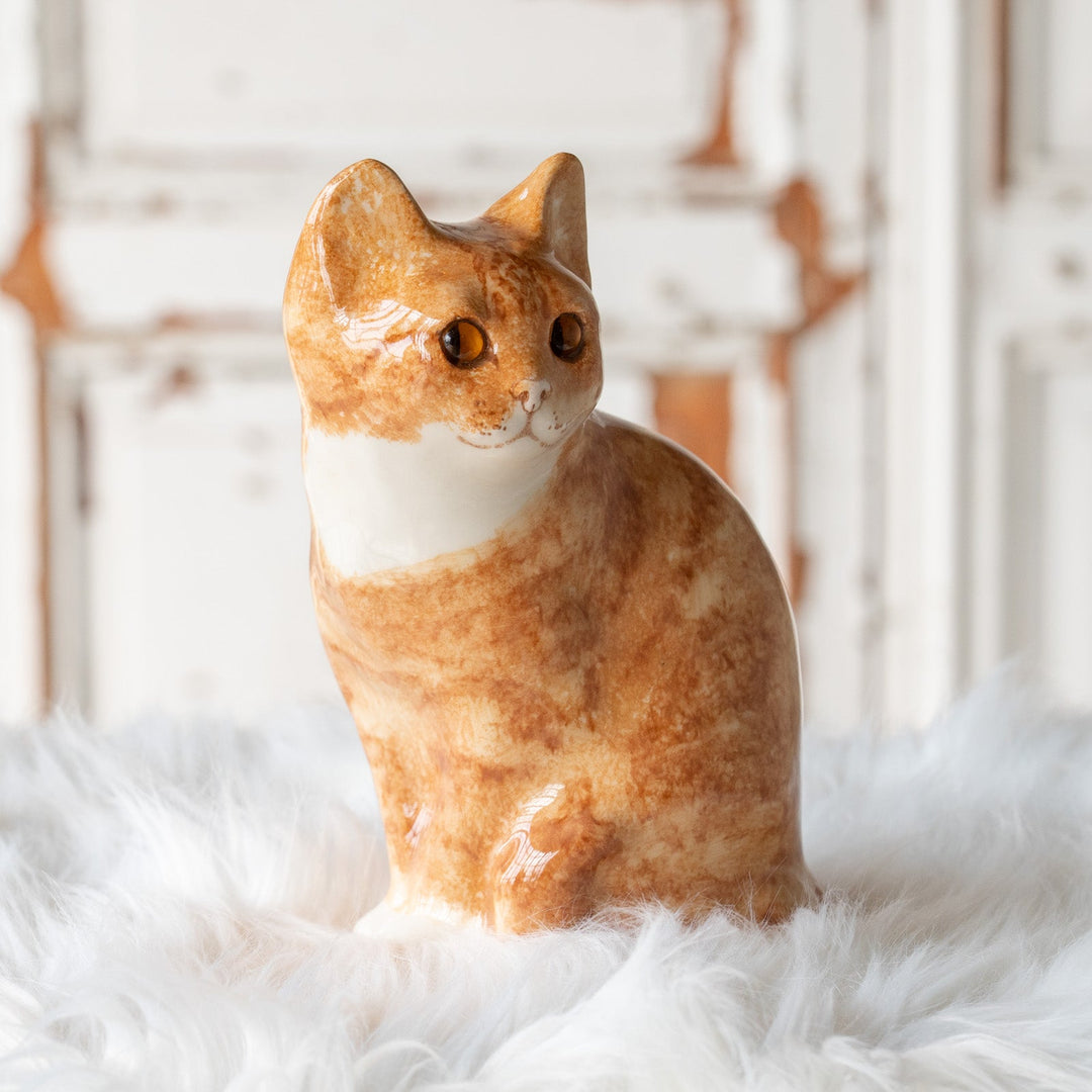 【Winstanley Cat ウィンスタンレイ キャット】◇座ってこちらを見つめる表情が愛らしい Ginger ジンジャー /25F