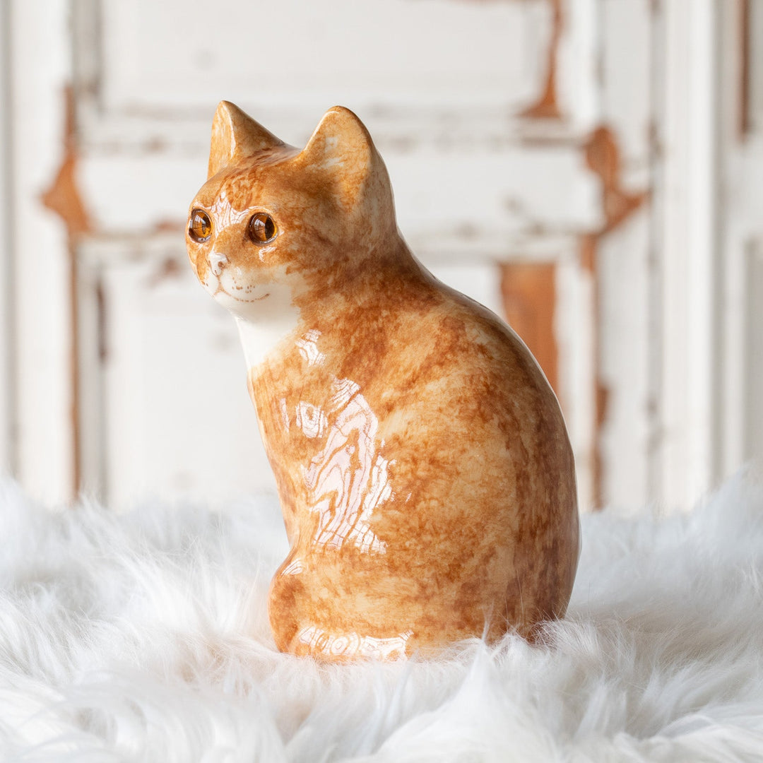 【Winstanley Cat ウィンスタンレイ キャット】◇座ってこちらを見つめる表情が愛らしい Ginger ジンジャー /25F
