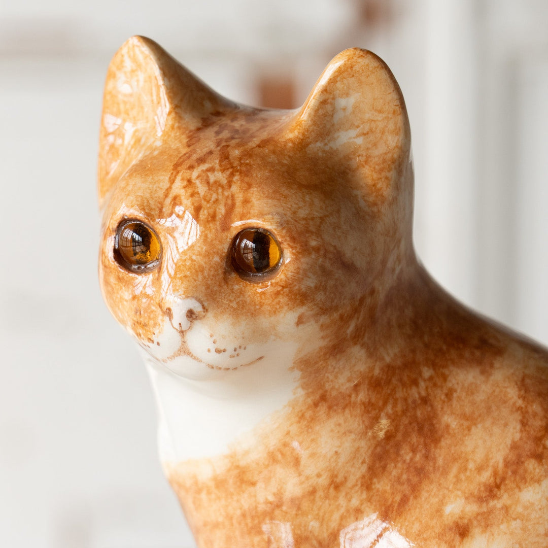 【Winstanley Cat ウィンスタンレイ キャット】◇座ってこちらを見つめる表情が愛らしい Ginger ジンジャー /25F