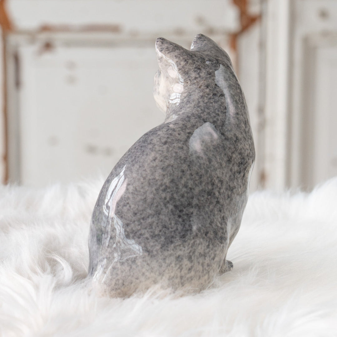 【Winstanley Cat ウィンスタンレイ キャット】◇座ってこちらを見つめる表情が愛らしい ブルーアイ Solid Blue ブルー
