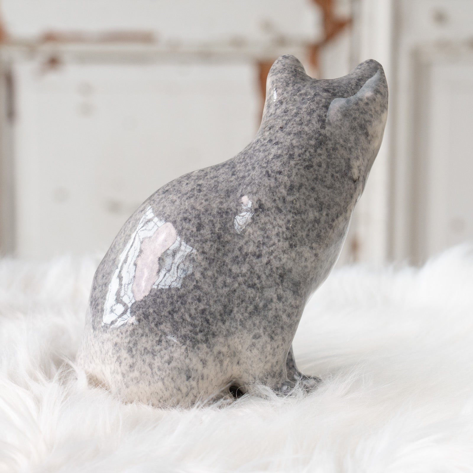 Winstanley Cat ウィンスタンレイ キャット】座ってこちらを見つめる