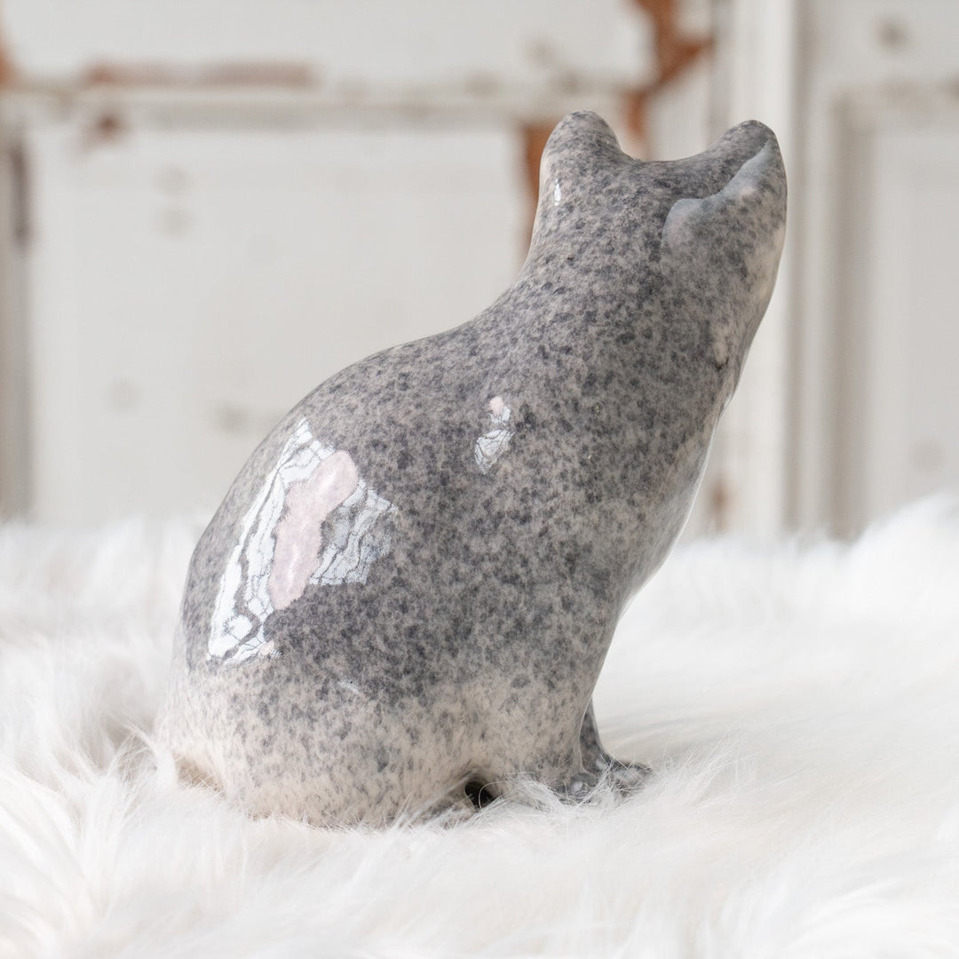 【Winstanley Cat ウィンスタンレイ キャット】◇座ってこちらを見つめる表情が愛らしい ブルーアイ Solid Blue ブルー