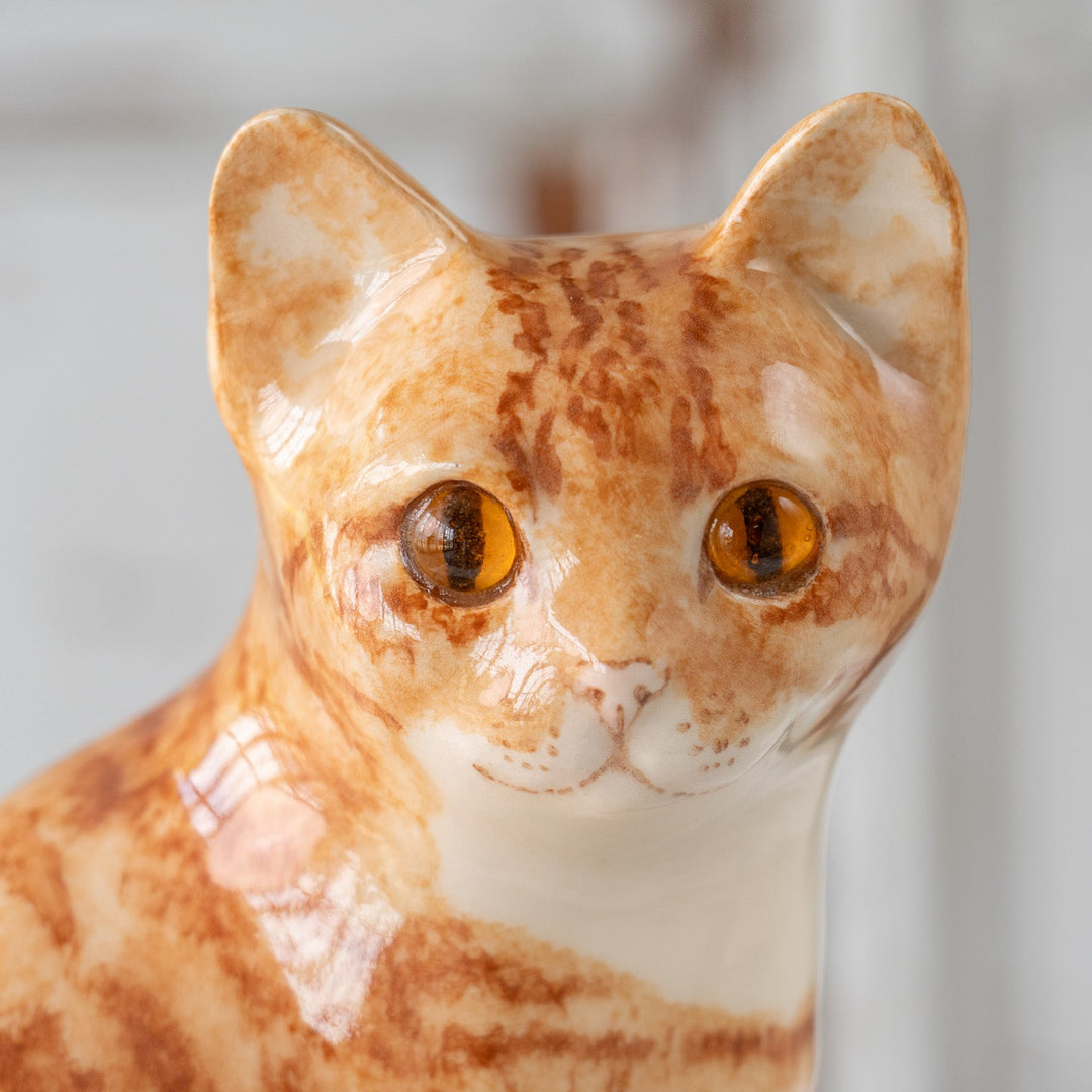 【Winstanley Cat ウィンスタンレイ キャット】◇長いしっぽをクルンと巻いた姿が可愛らしい Ginger ジンジャー /25F