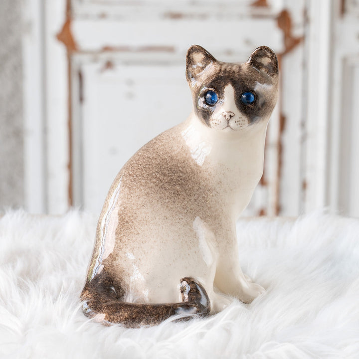 【Winstanley Cat ウィンスタンレイ キャット】◇振り向いた表情が凛として美しい ブルーアイ Ragdoll ラグドール /25F