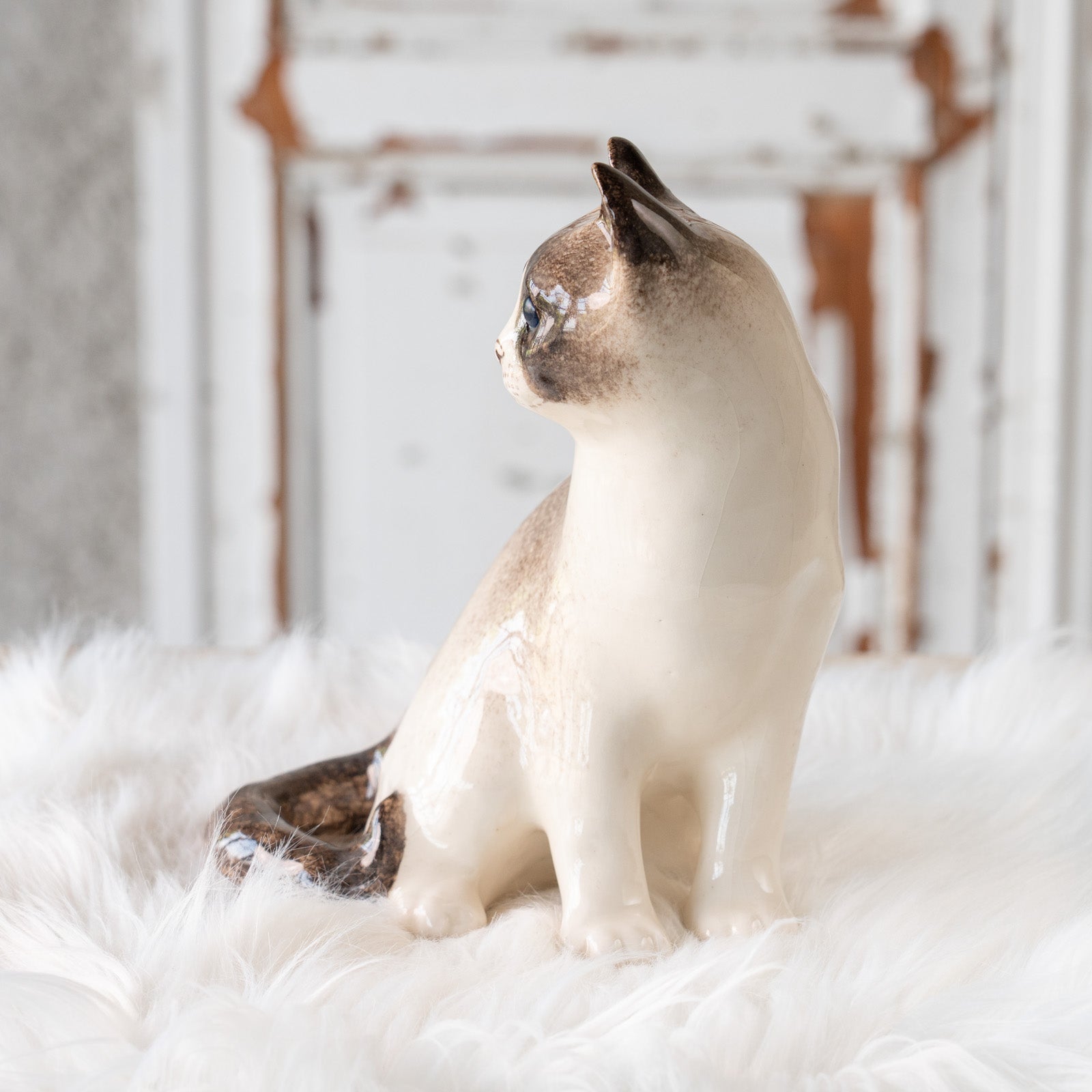 Winstanley Cat ウィンスタンレイ キャット】振り向いた表情が凛として