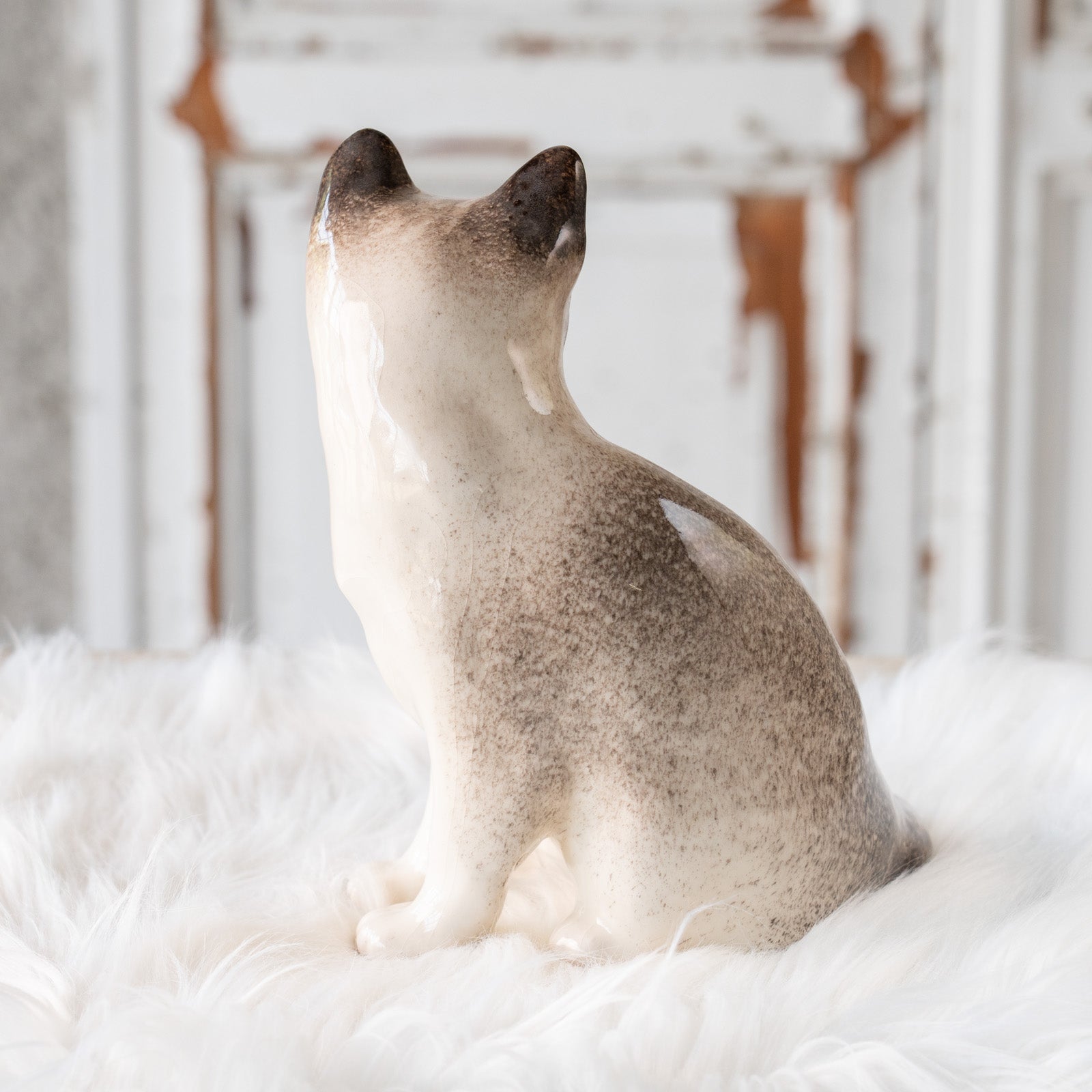 Winstanley Cat ウィンスタンレイ キャット】振り向いた表情が凛として