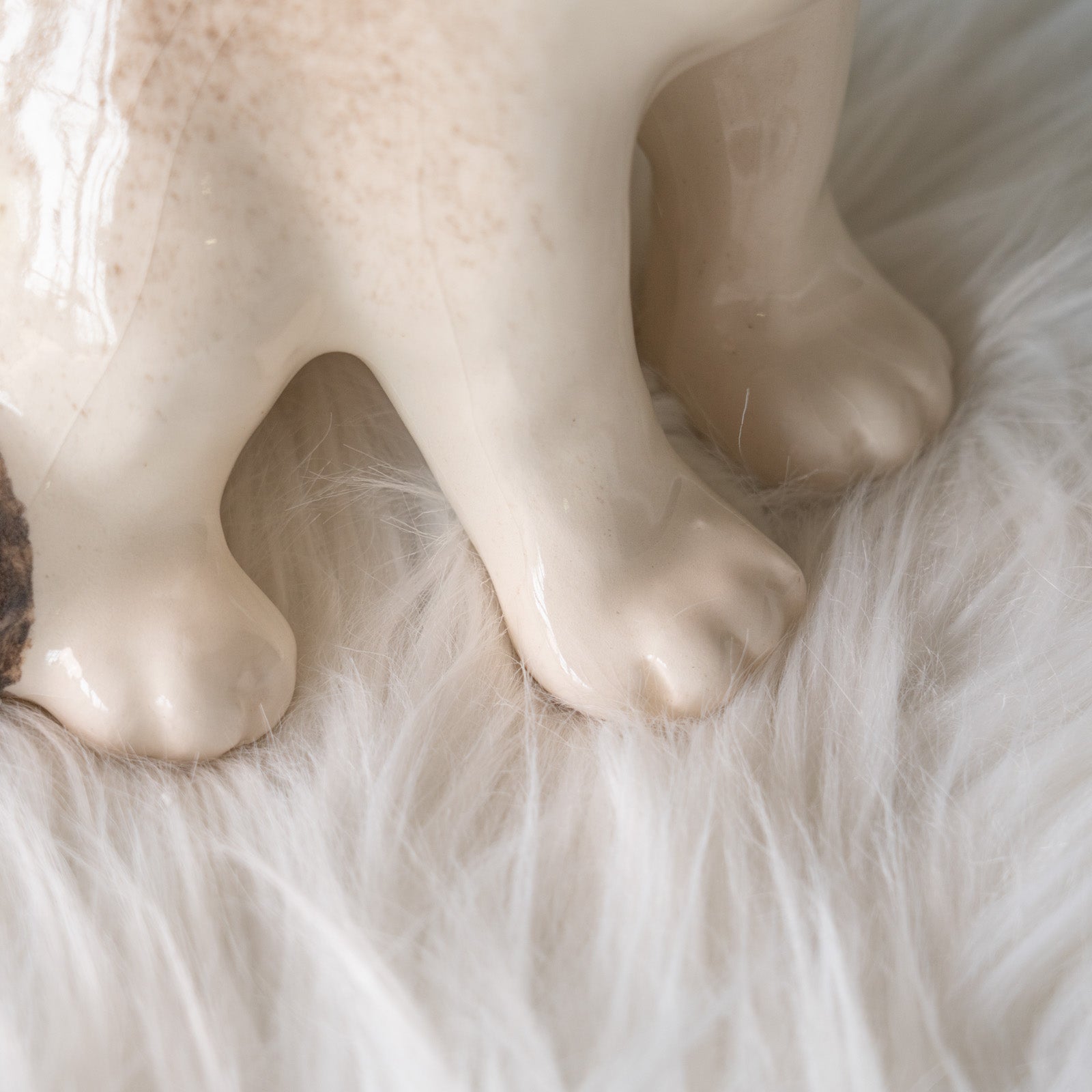 Winstanley Cat ウィンスタンレイ キャット】振り向いた表情が凛として