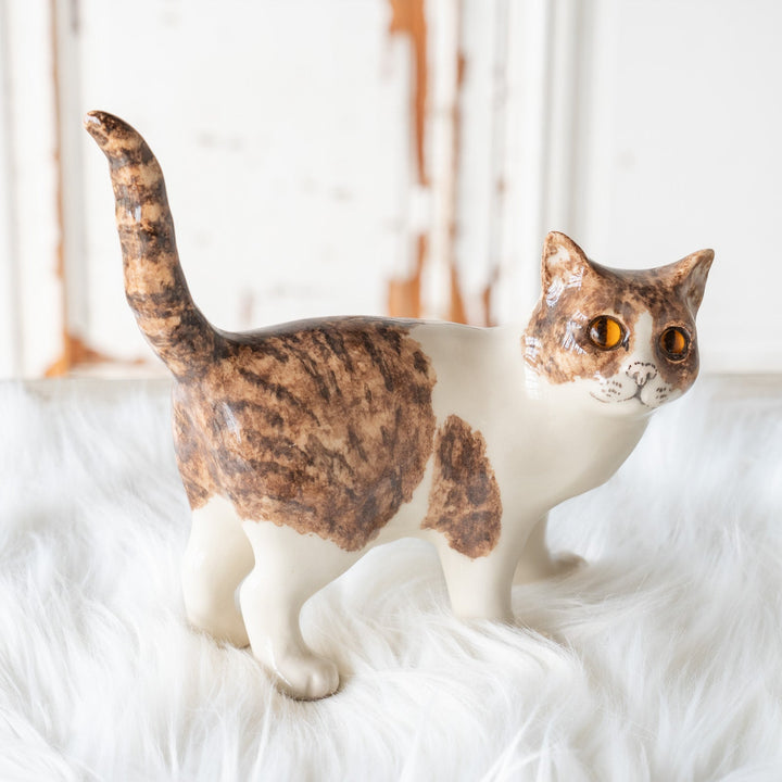 【Winstanley Cat ウィンスタンレイ キャット】◇しなやかに伸びたしっぽが特徴的 Brown tabby ブラウンタビー /25F