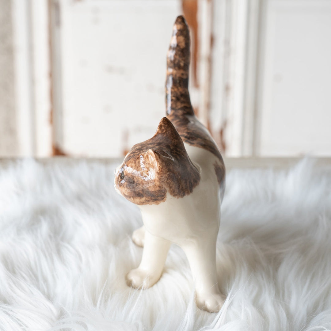 【Winstanley Cat ウィンスタンレイ キャット】◇しなやかに伸びたしっぽが特徴的 Brown tabby ブラウンタビー /25F