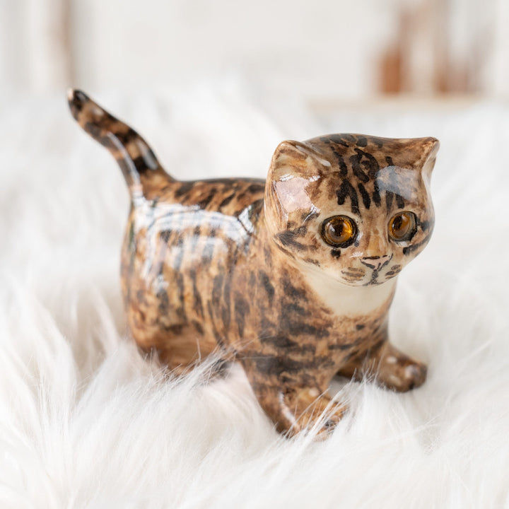 【Winstanley Cat ウィンスタンレイ キャット】◇ピンと伸びた尻尾が目を惹く Brown tabby ブラウンタビー /25F