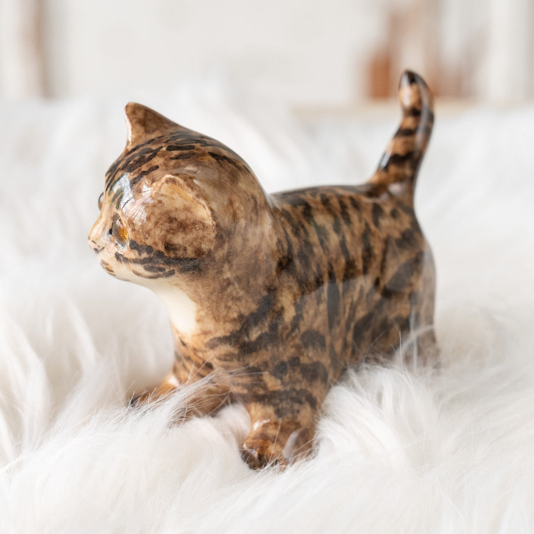 【Winstanley Cat ウィンスタンレイ キャット】◇ピンと伸びた尻尾が目を惹く Brown tabby ブラウンタビー /25F