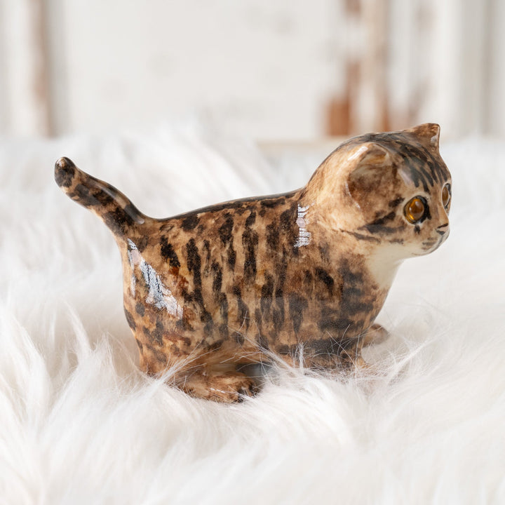 【Winstanley Cat ウィンスタンレイ キャット】◇ピンと伸びた尻尾が目を惹く Brown tabby ブラウンタビー /25F