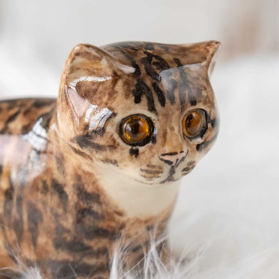 【Winstanley Cat ウィンスタンレイ キャット】◇ピンと伸びた尻尾が目を惹く Brown tabby ブラウンタビー /25F