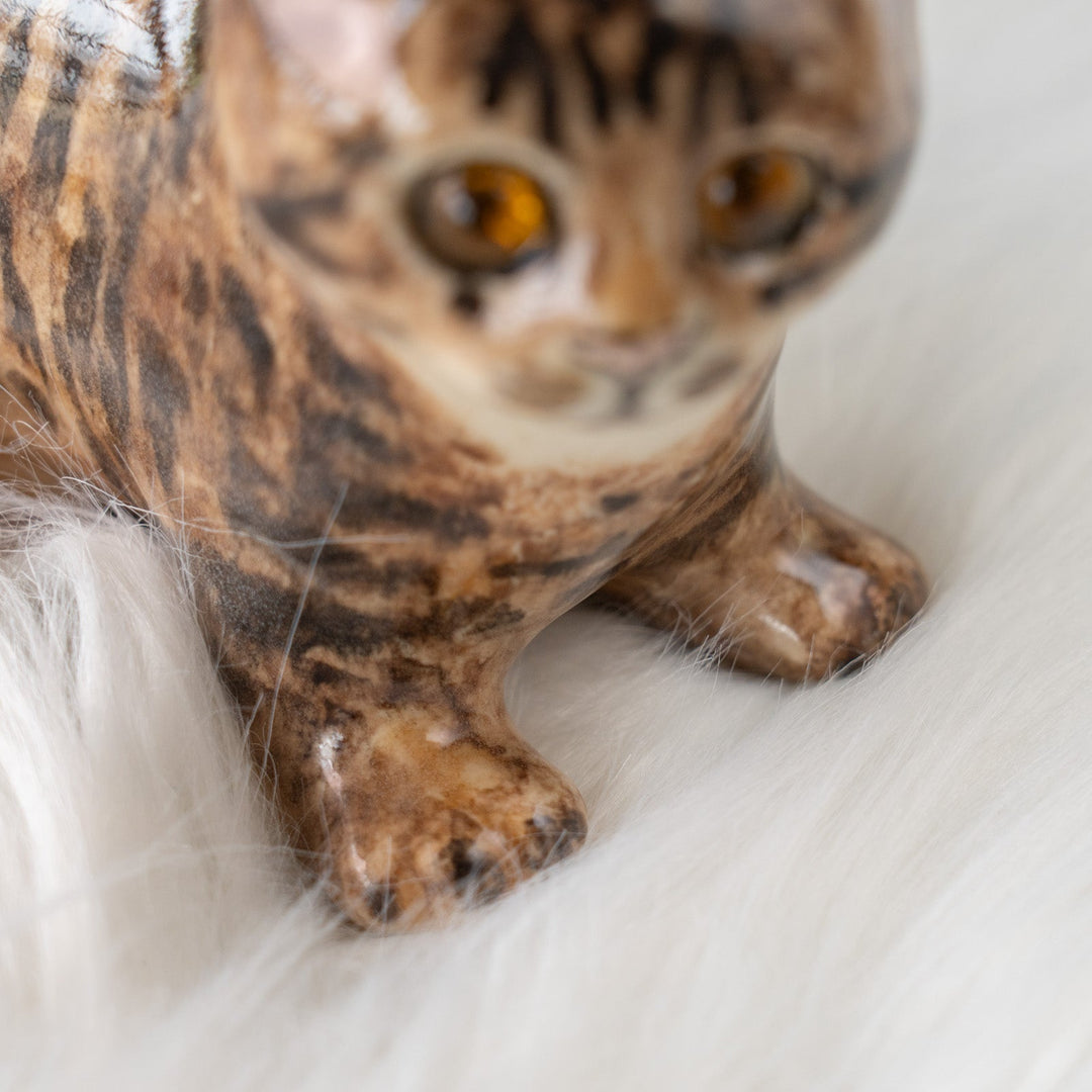 【Winstanley Cat ウィンスタンレイ キャット】◇ピンと伸びた尻尾が目を惹く Brown tabby ブラウンタビー /25F
