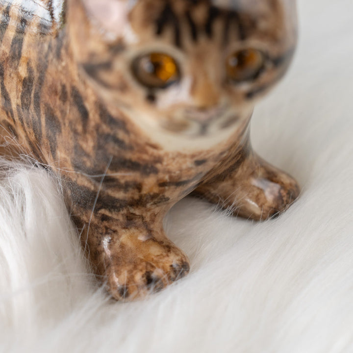 【Winstanley Cat ウィンスタンレイ キャット】◇ピンと伸びた尻尾が目を惹く Brown tabby ブラウンタビー /25F