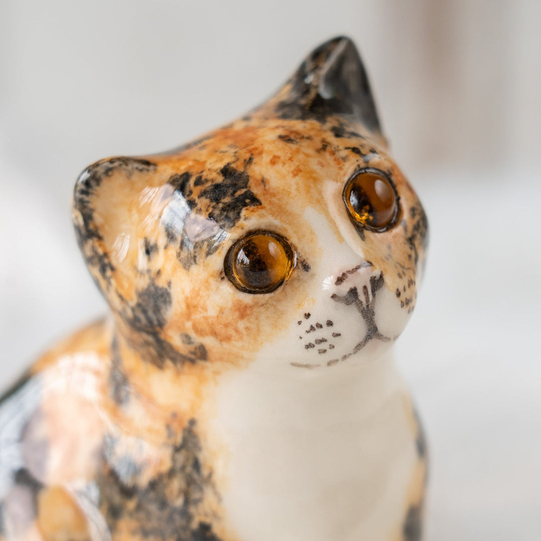 【Winstanley Cat ウィンスタンレイ キャット】◇穏やかな微笑みが魅力的 Calico キャリコ /25F