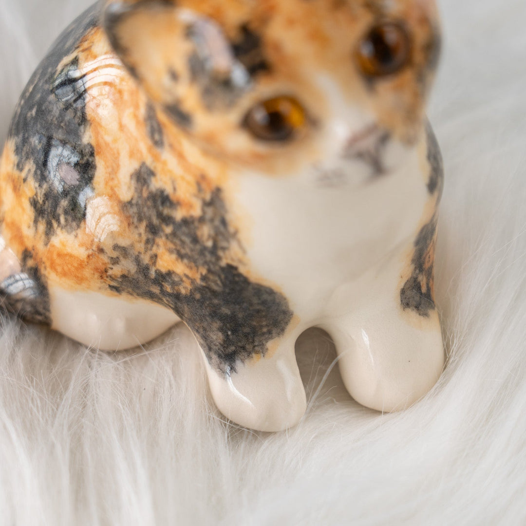 【Winstanley Cat ウィンスタンレイ キャット】◇穏やかな微笑みが魅力的 Calico キャリコ /25F