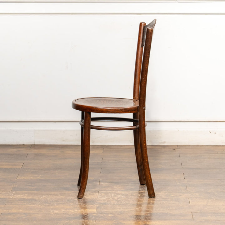 【Mundus ムンダス】シェルモチーフのエンボス加工が美しい パネルバック ベントウッドチェア /25G-4