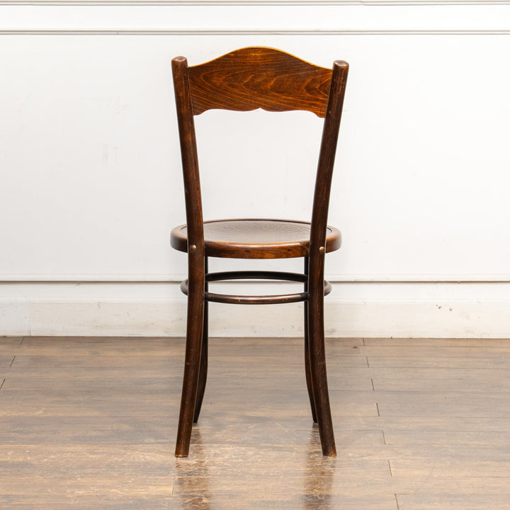 【Mundus ムンダス】シェルモチーフのエンボス加工が美しい パネルバック ベントウッドチェア /25G-5